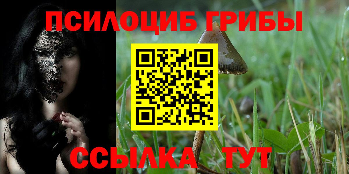 Галлюциногенные грибы MAGIC MUSHROOMS  Вход с VPN  Норильск 